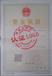 固安伟恒过滤设备厂 温泉商务产业园中的工业明珠与商务签证全攻略