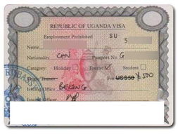 广州专业代办乌干达商务签证 高效特快服务全攻略